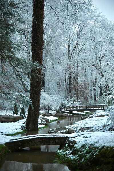 Winter view of both bridges